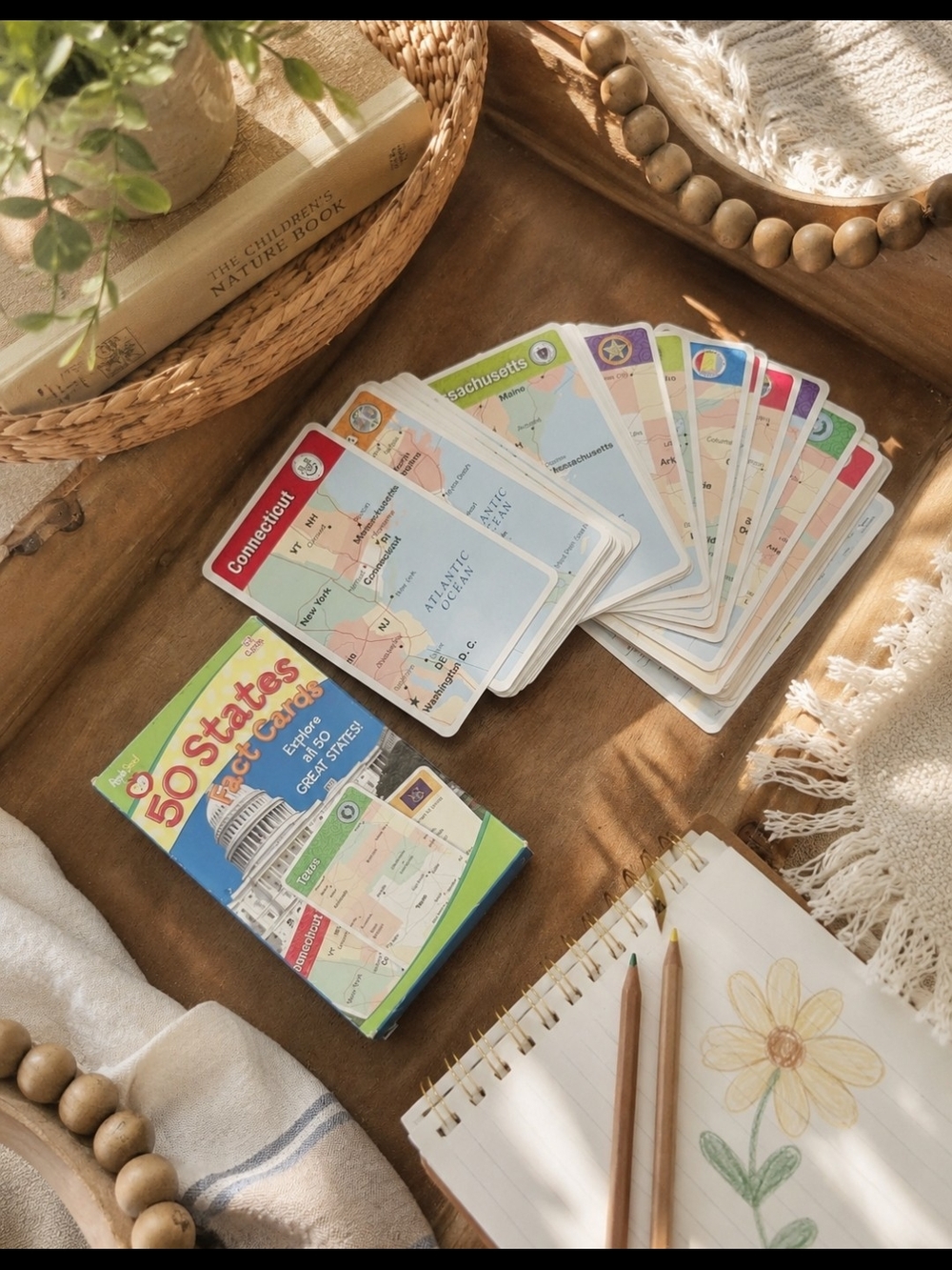50 States Flash Cards Deck — COMPLETE SET, Education, Homeschool Geography